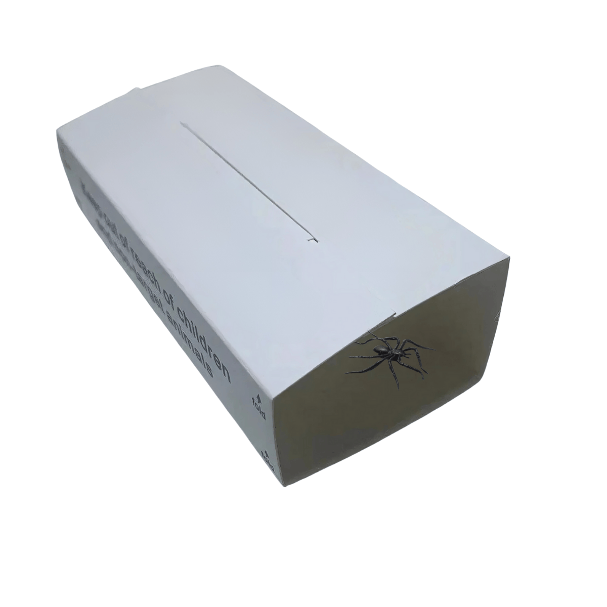 White rectangular box with a spider trapped on the sticky trap on a white background