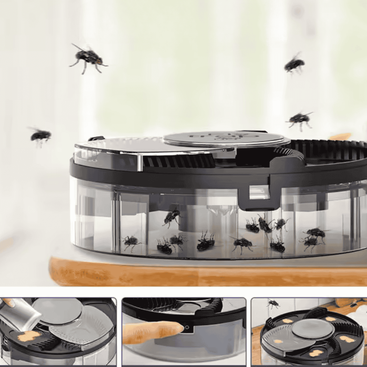 fly trap with insects on a white background