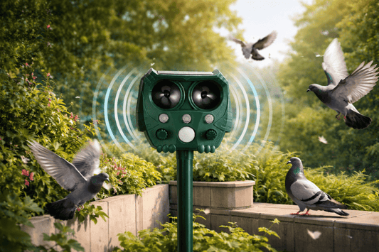 Best Ultrasonic Pigeon Deterrents on the Market