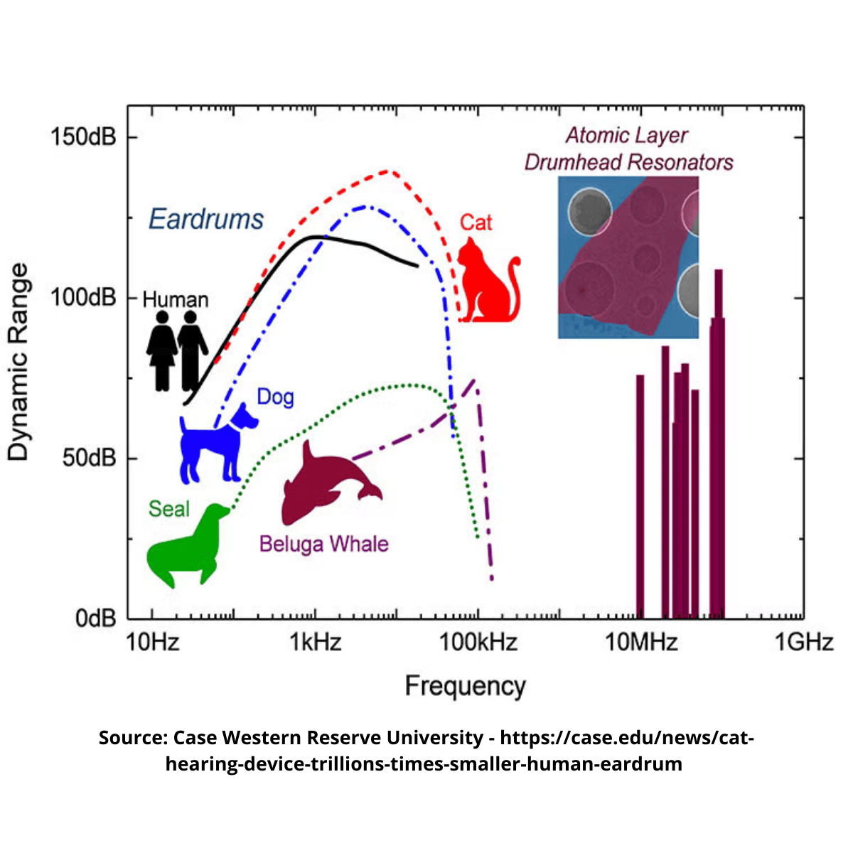 Graph comparing the hearing ranges of different animals and humans, with an inset showing atomic layer drumhead resonators.