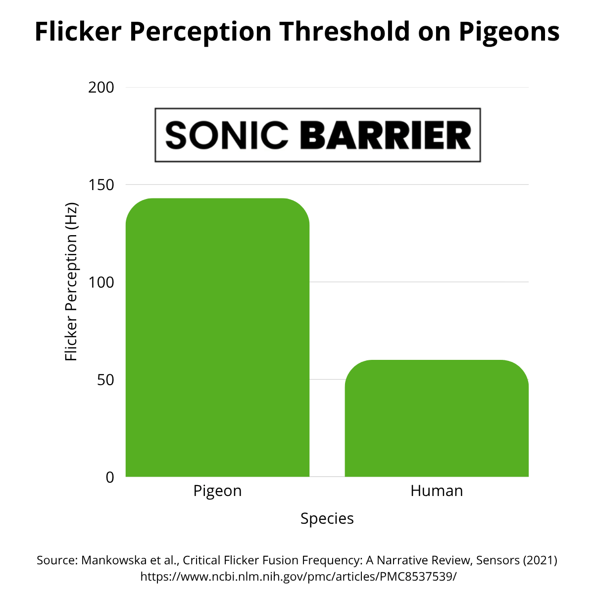 Bar chart comparing flicker perception threshold between pigeons and humans