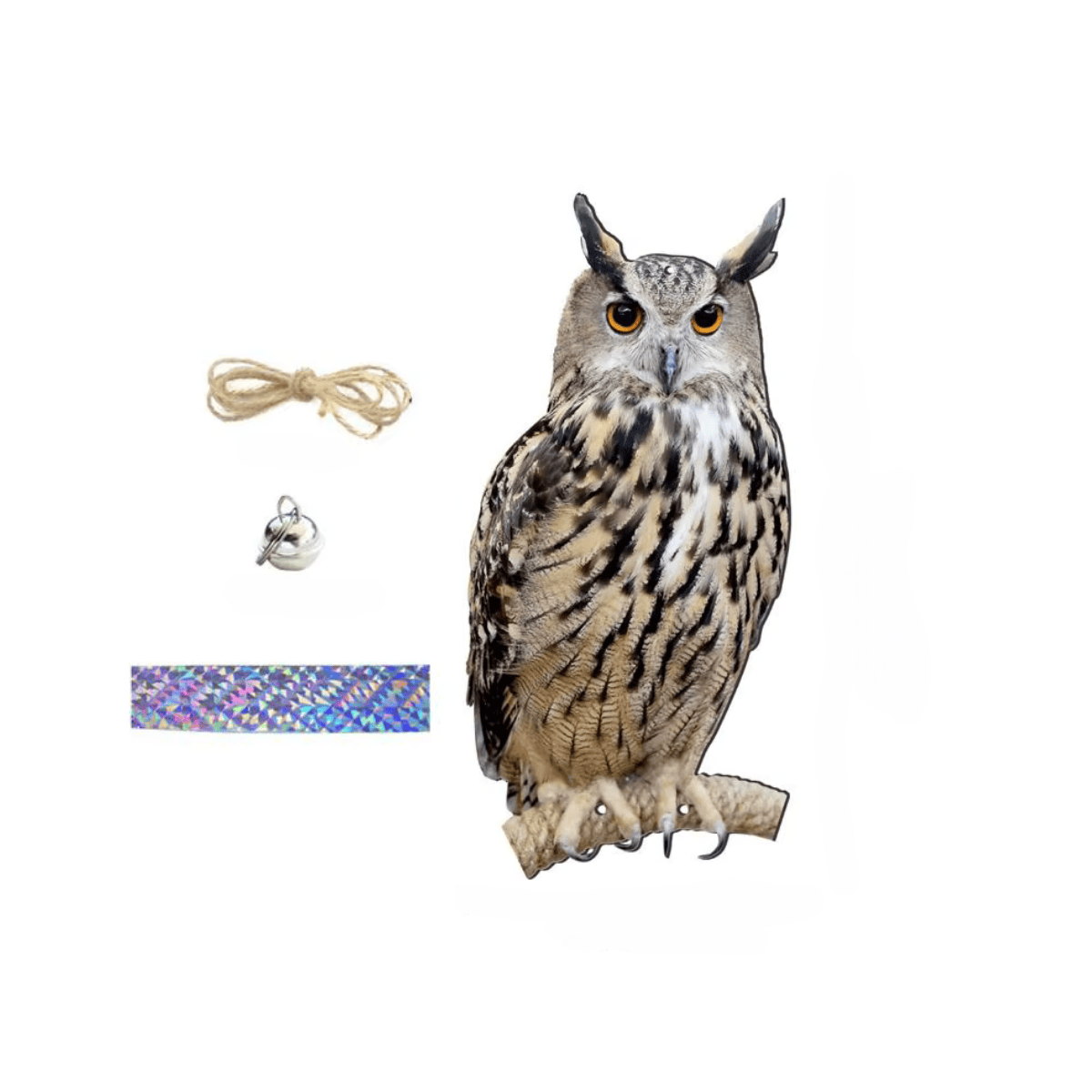 Realistic owl with bird accessories on a white background