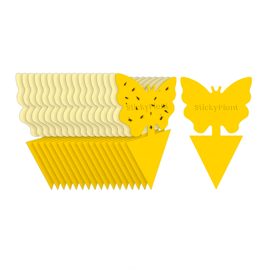 Yellow butterfly-shaped Gnat Sticky Traps for Plants with a white background