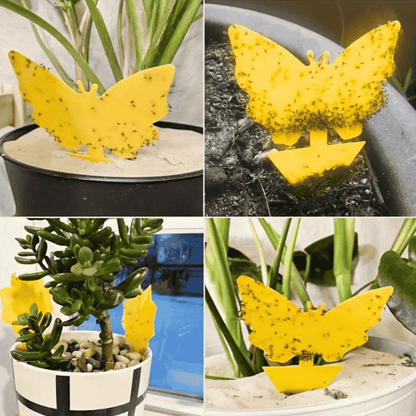 Yellow butterfly-shaped gnats Sticky Traps for Plants in various pots with plants.
