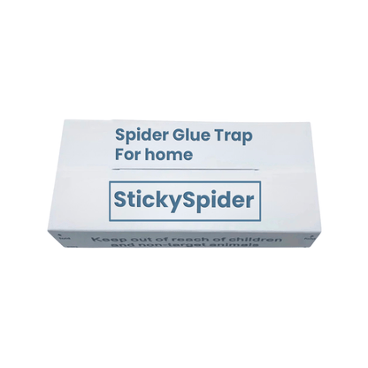 Box of Sticky Spider spider glue trap on a white background