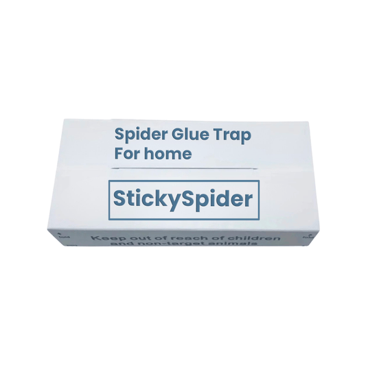Box of Sticky Spider spider glue trap on a white background