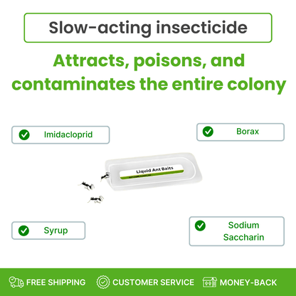 Product advertisement for slow-acting insecticide with ingredients listed on a white background.