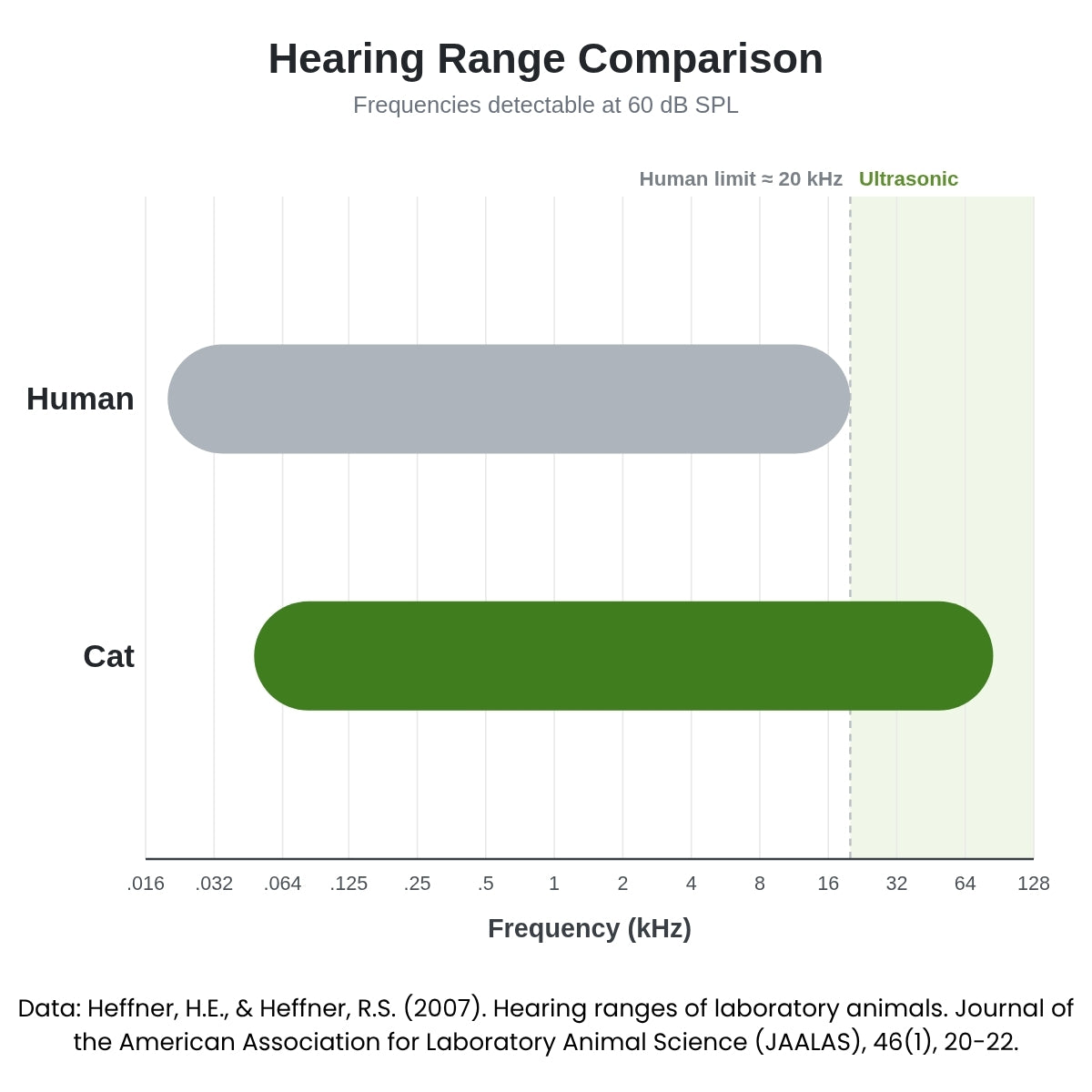 The hearing ranges of laboratory animals (cats) compared with those of humans. Lines indicate the range of frequencies that can be detected at 60 dB SPL.