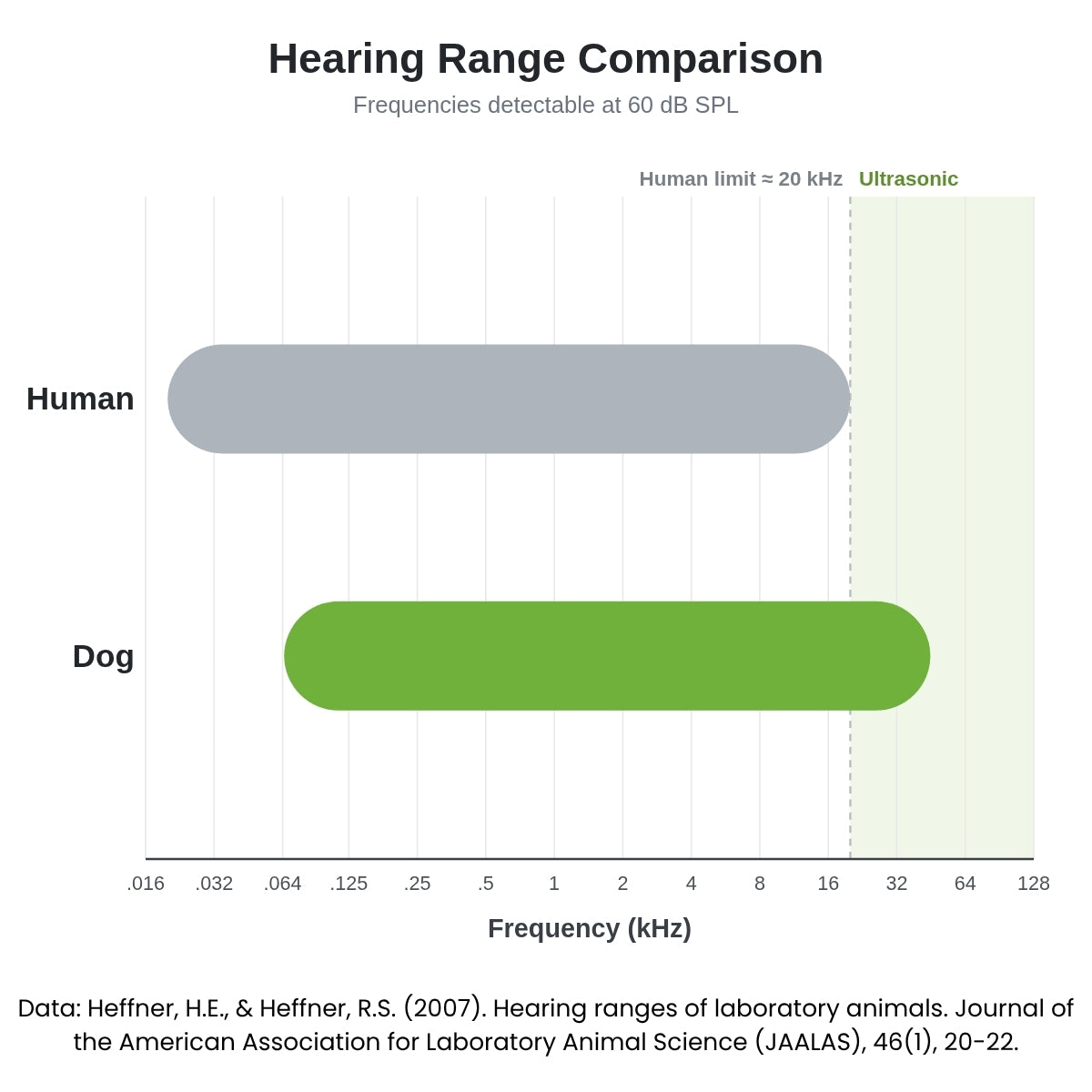The hearing ranges of laboratory animals (dogs) compared with those of humans. Lines indicate the range of frequencies that can be detected at 60 dB SPL.