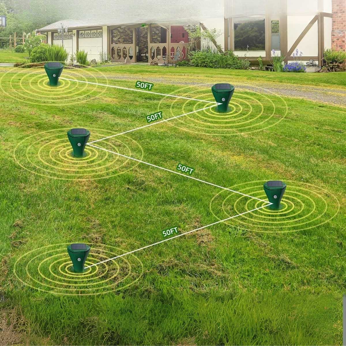 schema explaining how to position molevox in a garden