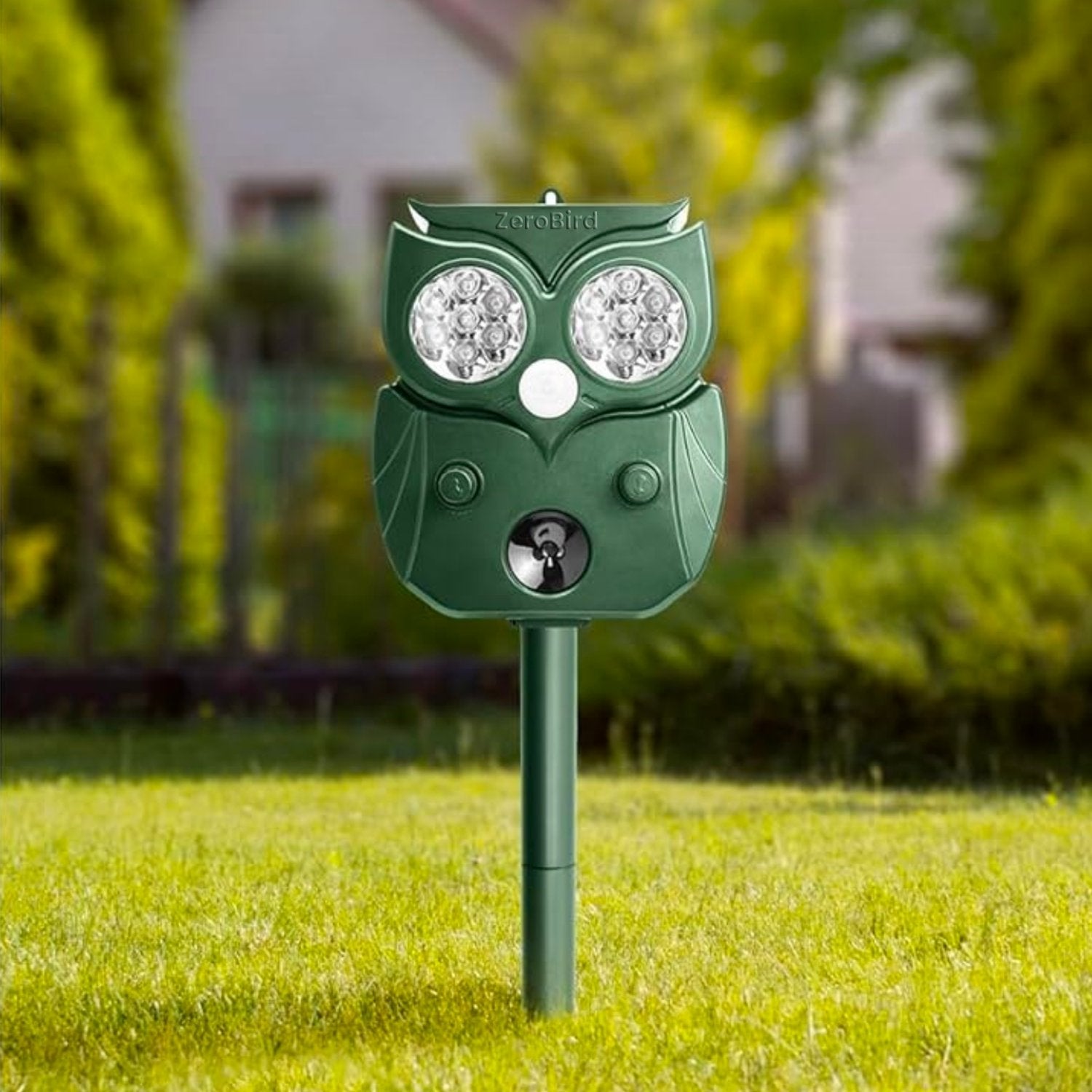 zerobird in a garden