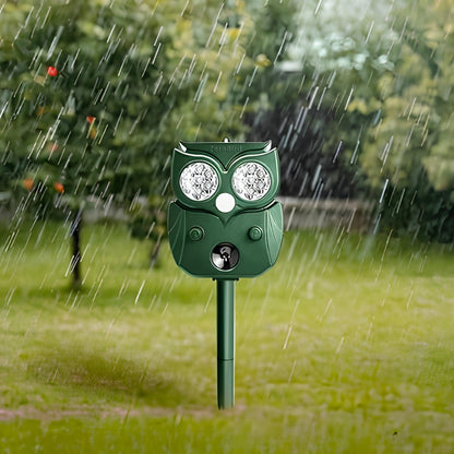 zerobird under the rain